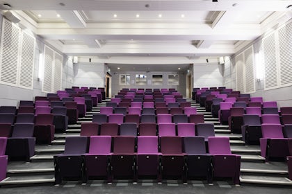 Henry Wellcome Auditorium 2