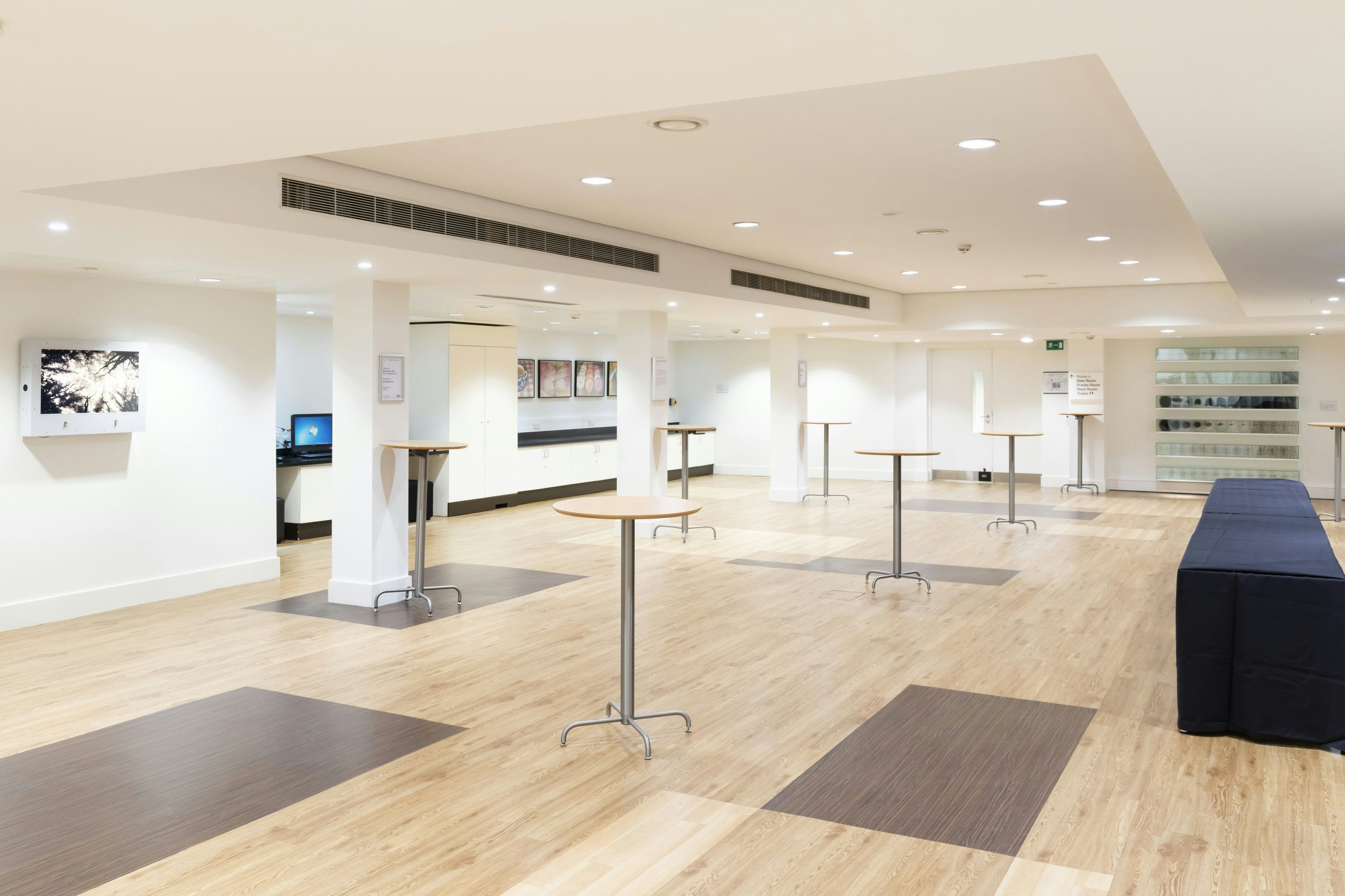 Henry Wellcome Auditorium 6