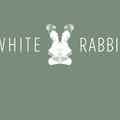 Small 9 white rabbit