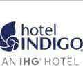 Small indigo logo