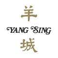 Small yangsing logo high def